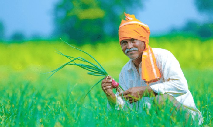 ರೈತರುಗಳಿಗೆ ಮೇವಿನ ಬಿತ್ತನೆ ಬೀಜ ಉಚಿತ ಪೂರೈಕೆ: ಅರ್ಜಿ ಆಹ್ವಾನ